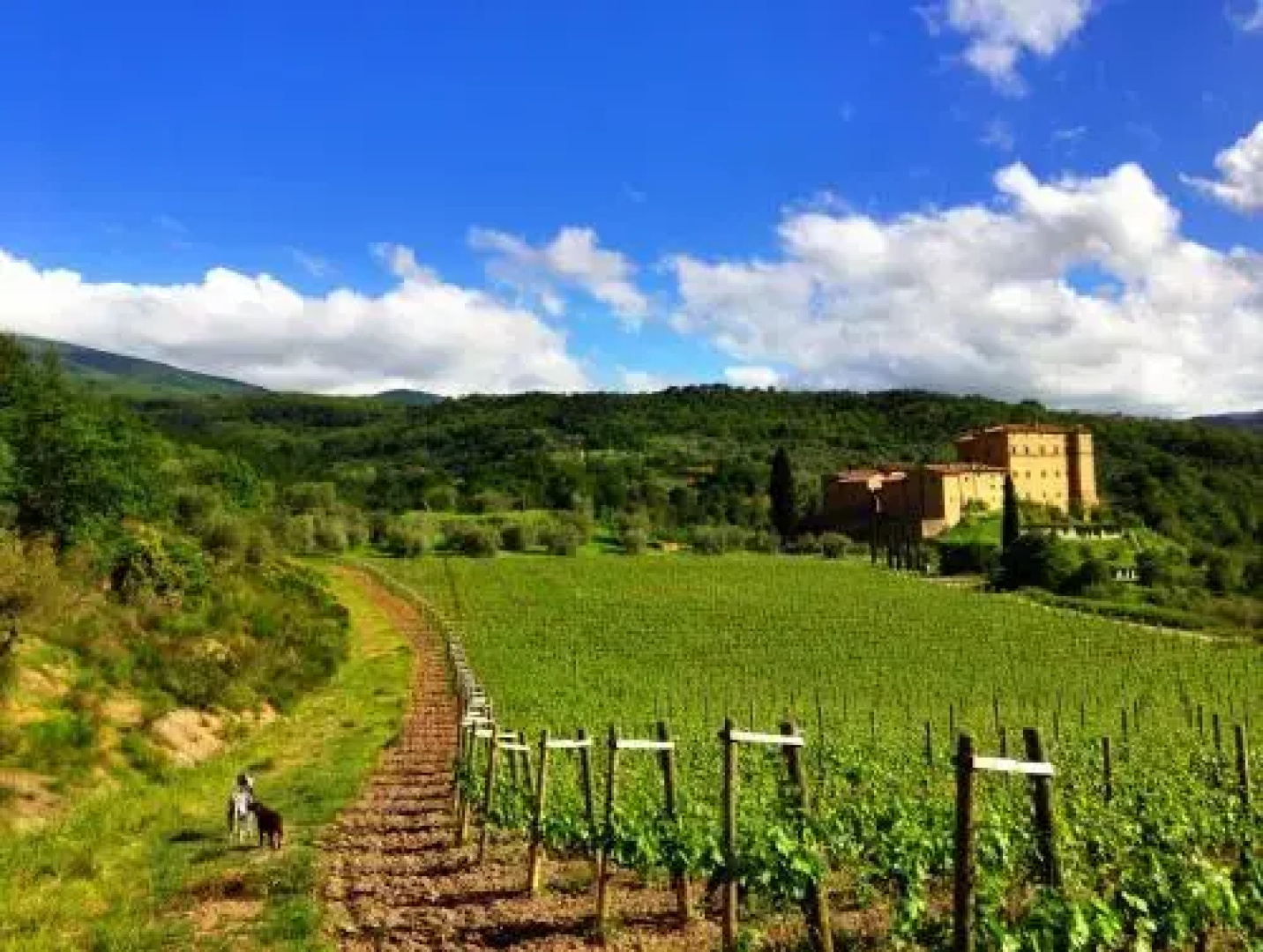 Castello Di Potentino