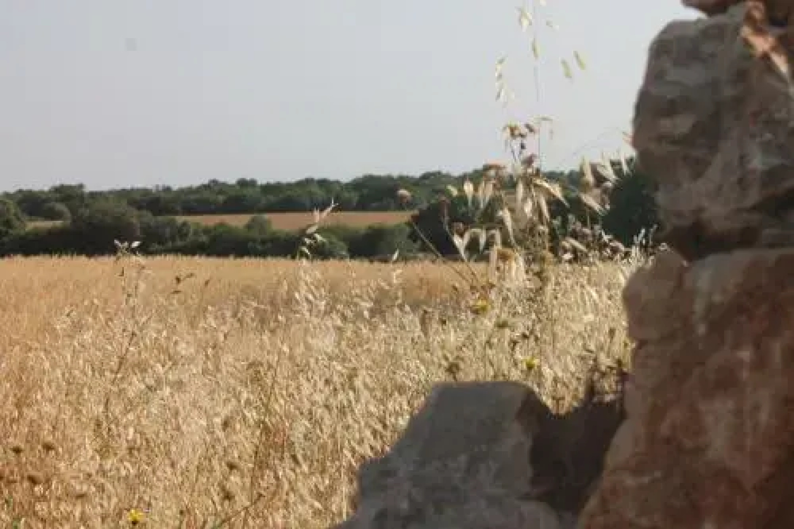 B&B Masseria Cappotto