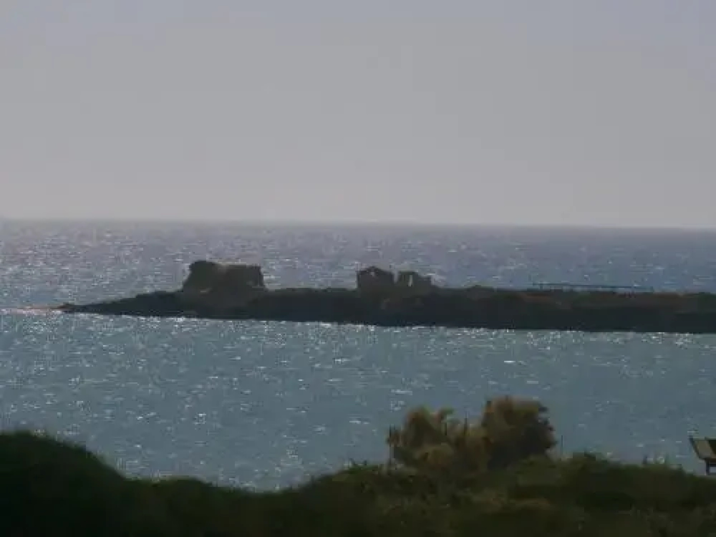 Alborea