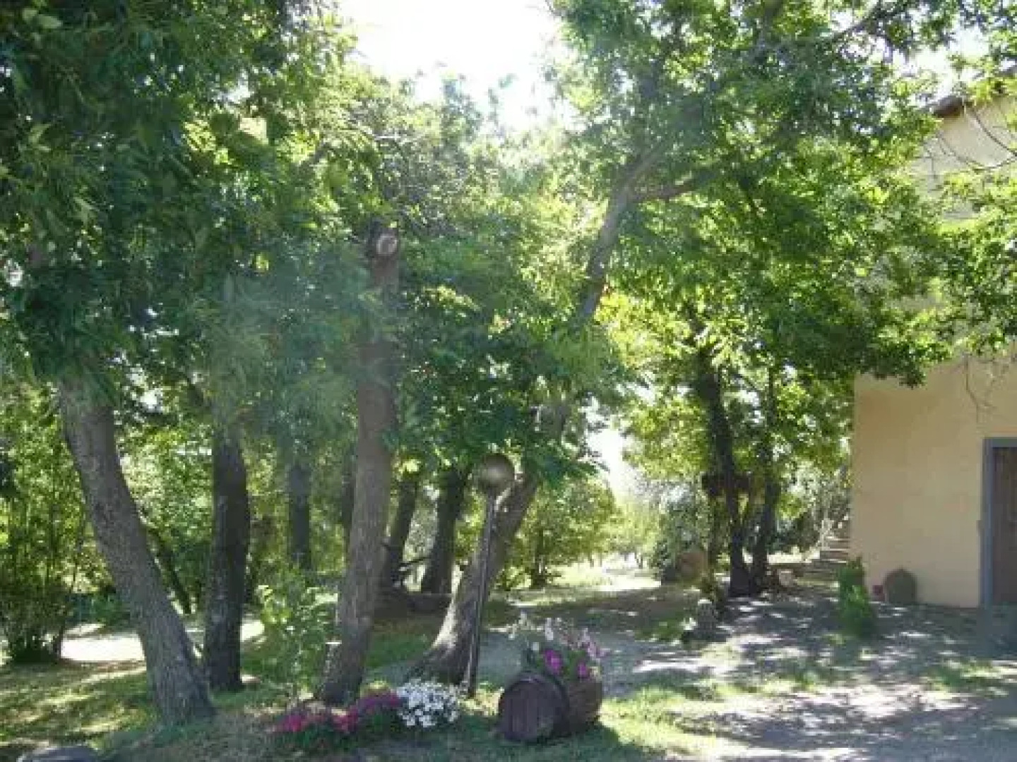 Agriturismo Francadu