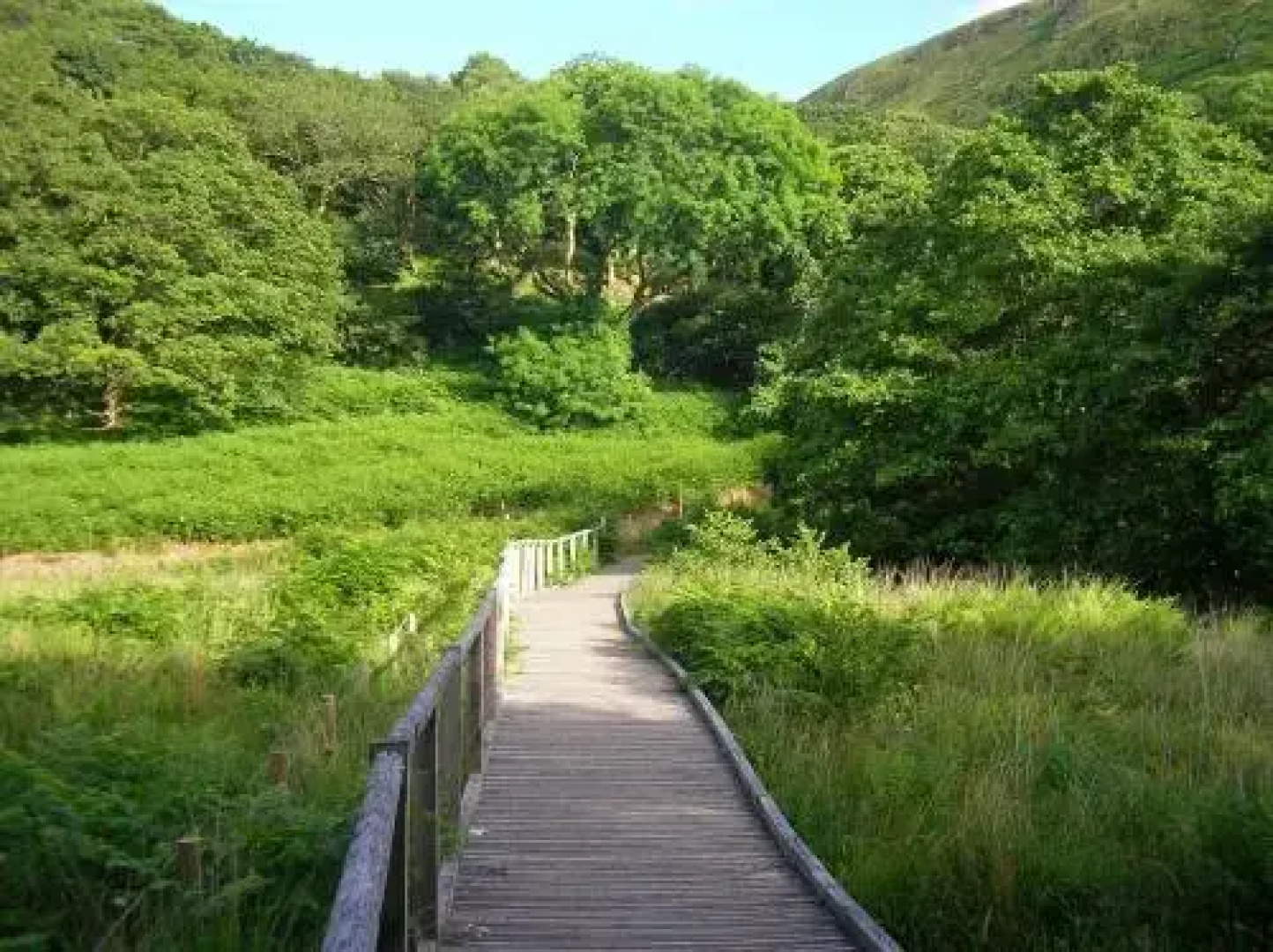 Dolgoch Falls