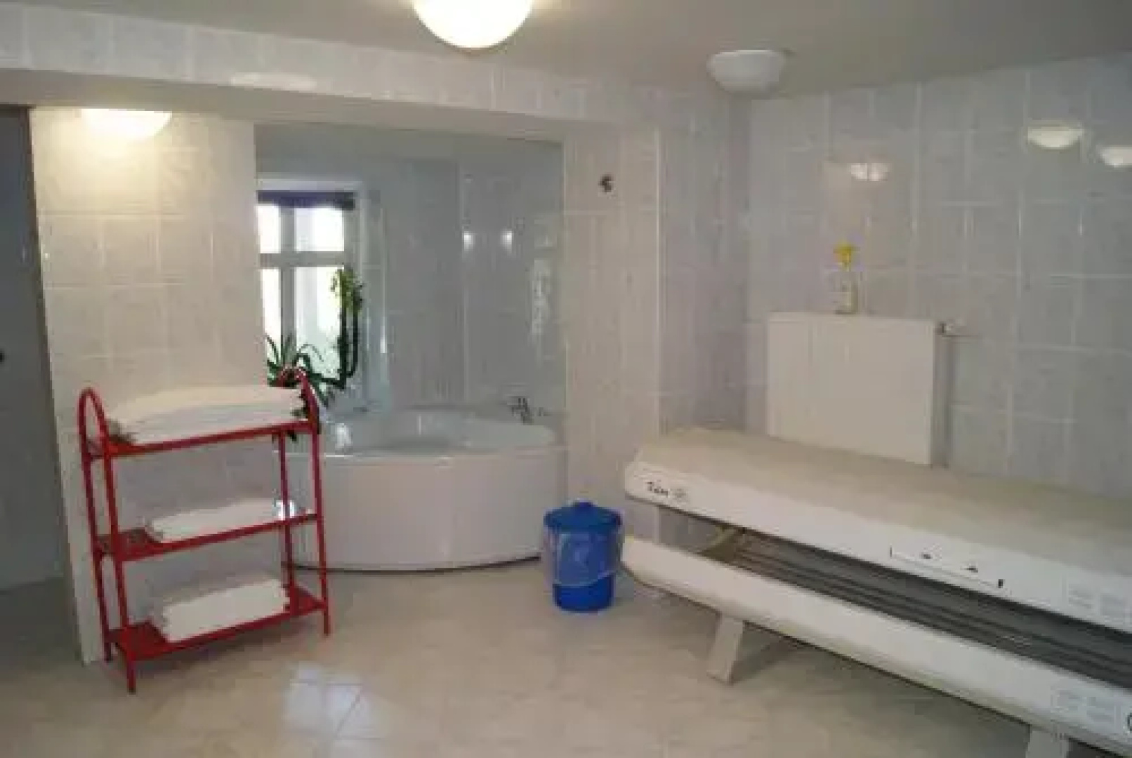 Strandmuschel