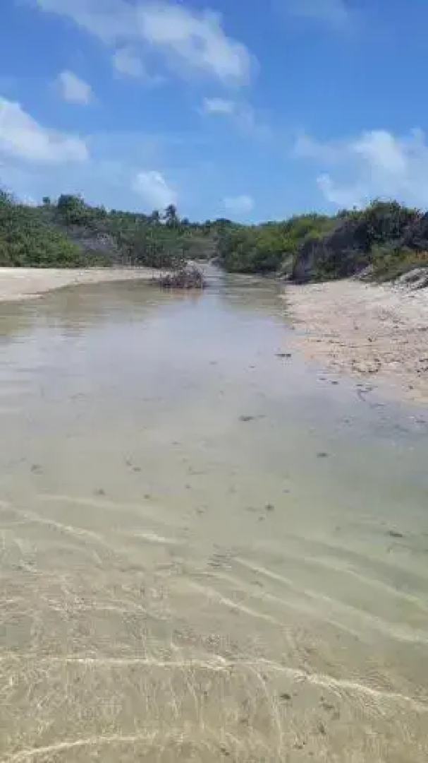 O Peixe de Boa Hostel