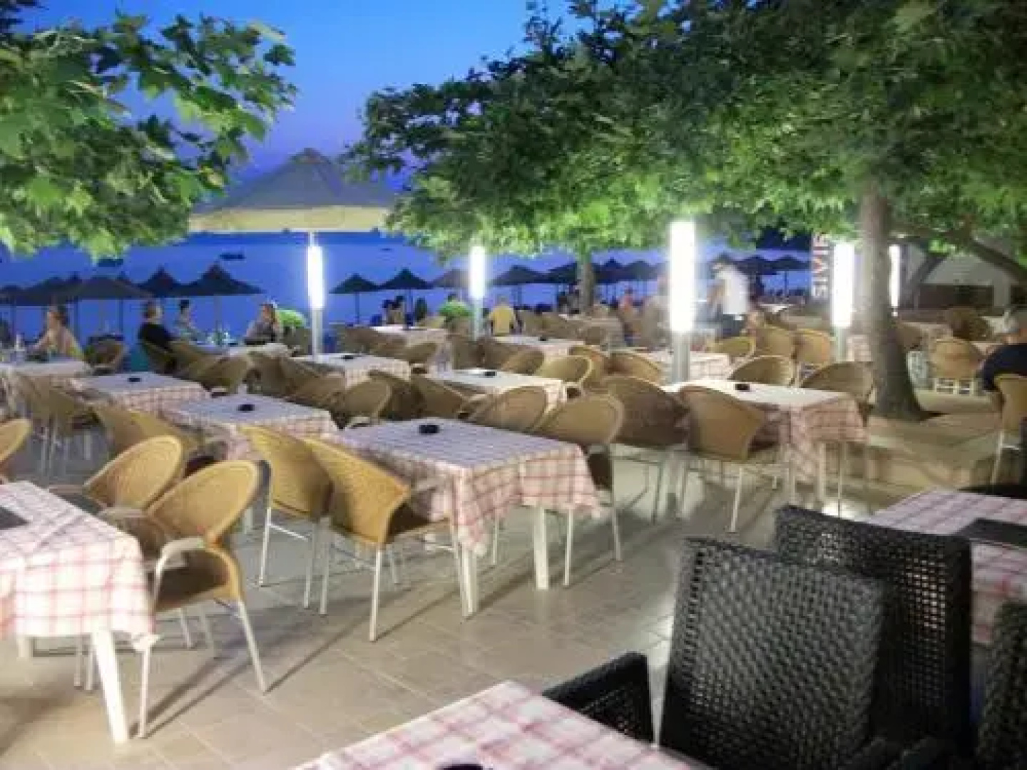 Alkioni By The Sea