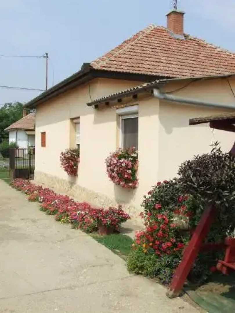 Tiszavirág Vendégház