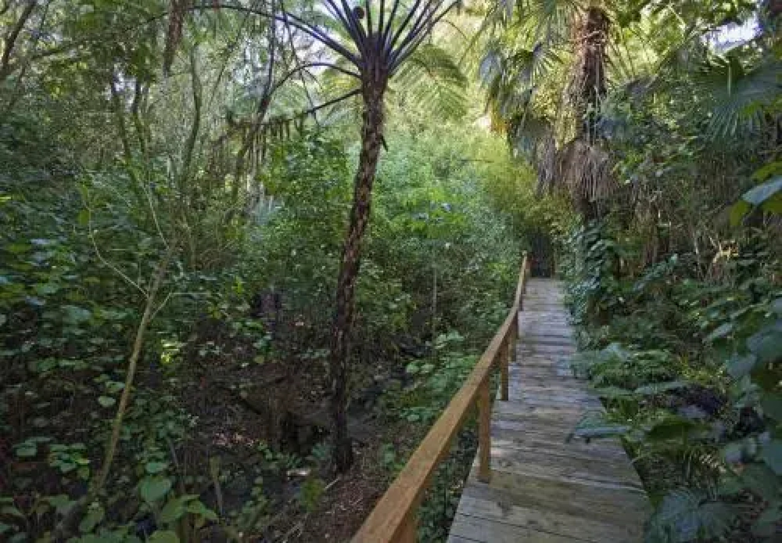 Coastal Getaway Apartment