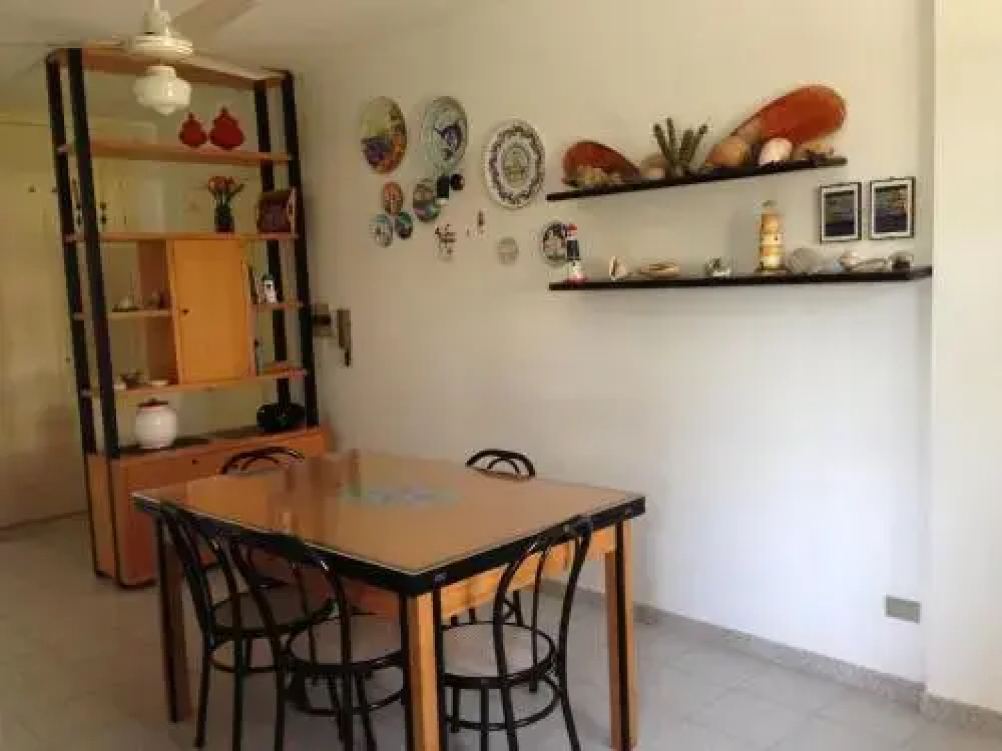 Le Tartarughe