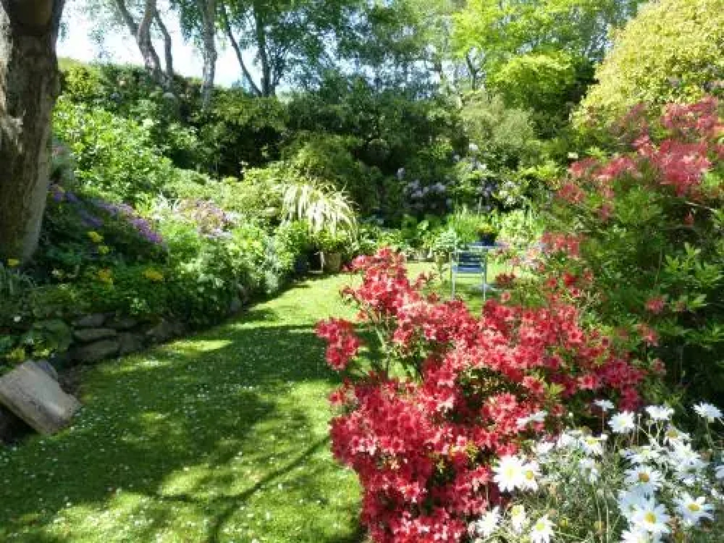 Castlewood Cottage