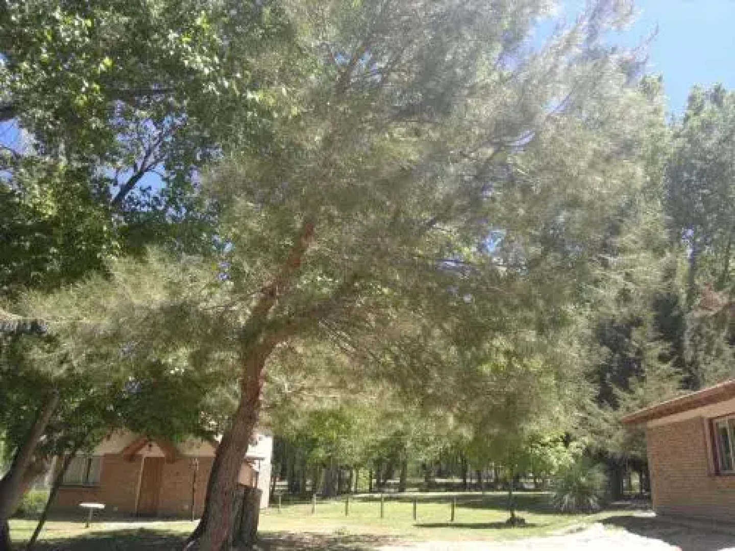 Cabañas Del Pastizal