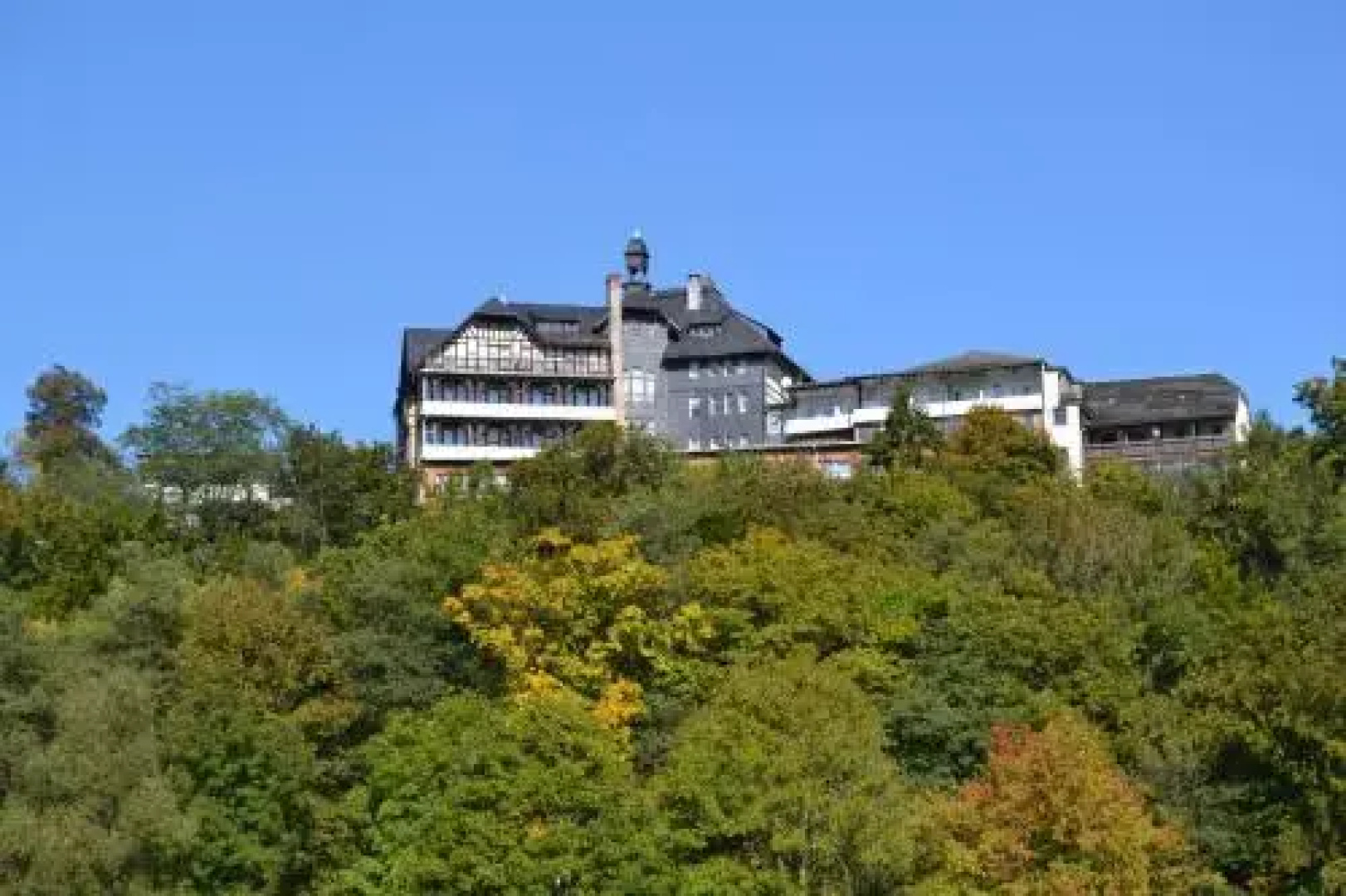 Weißer Hirsch