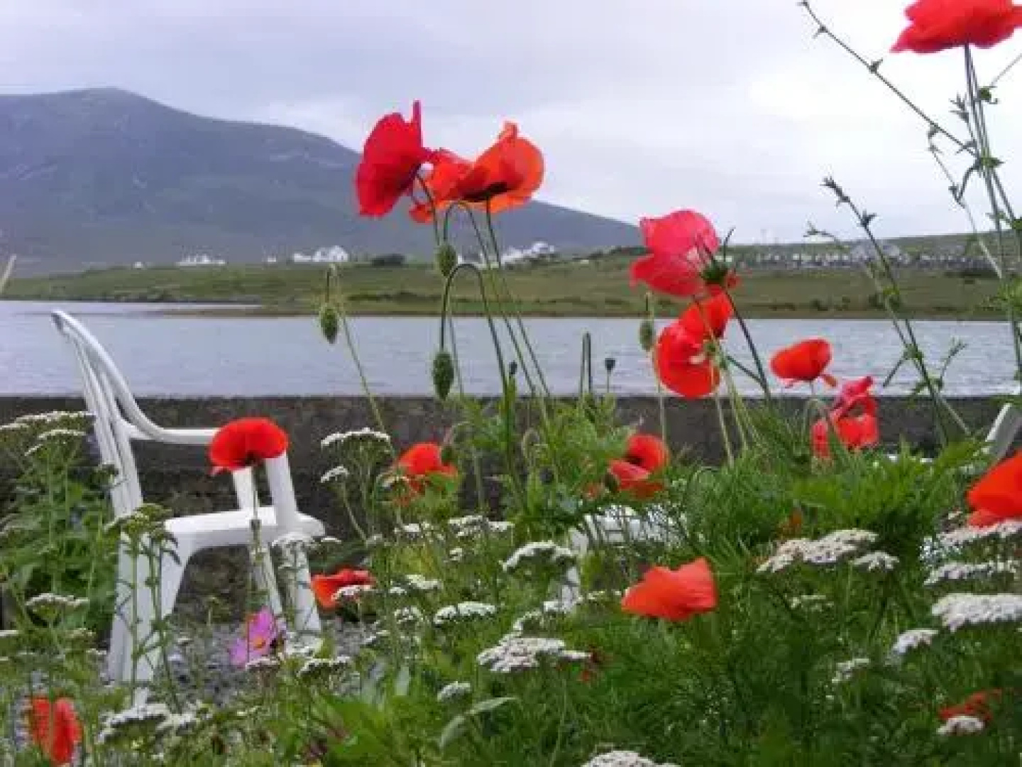 Bleanaskill Lodge & Achill Secret Garden