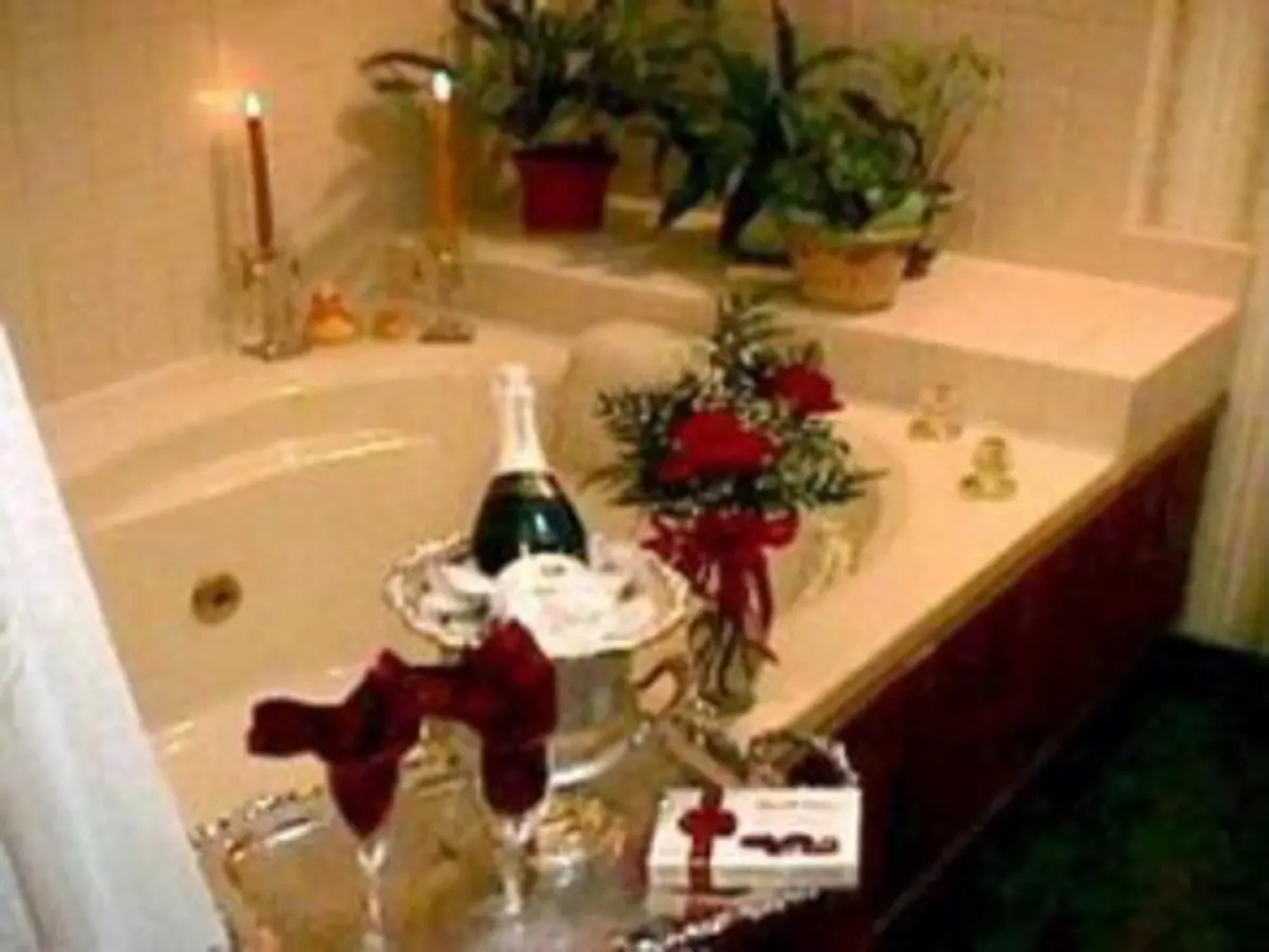 The Tudor House Bed and Breakfast