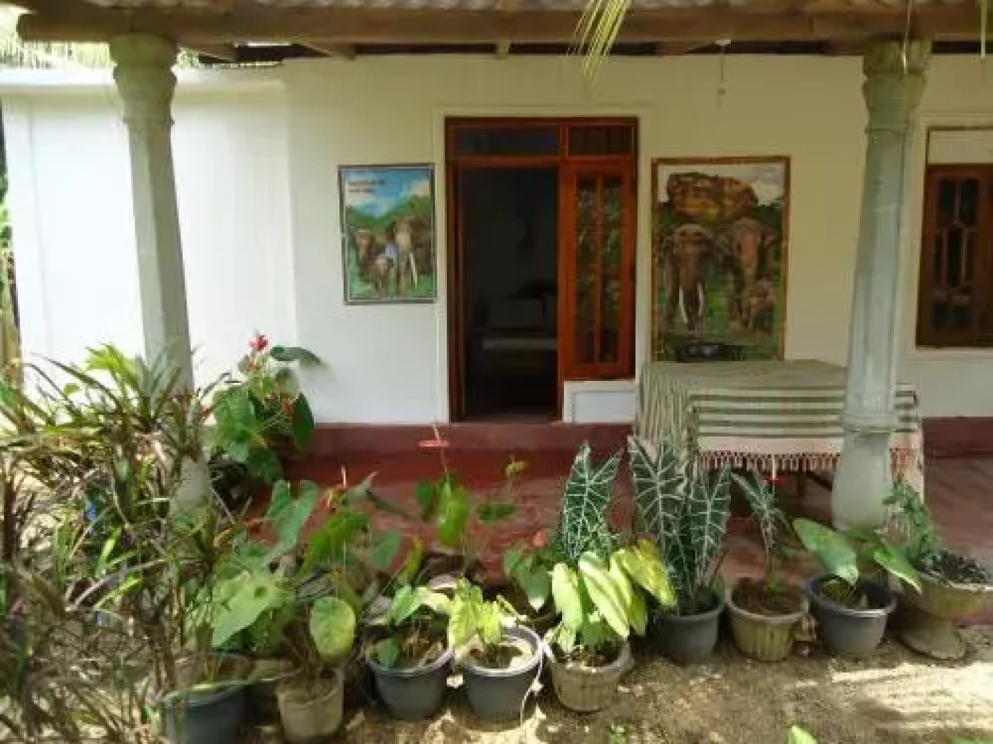 Sigiri Picaso Home Stay