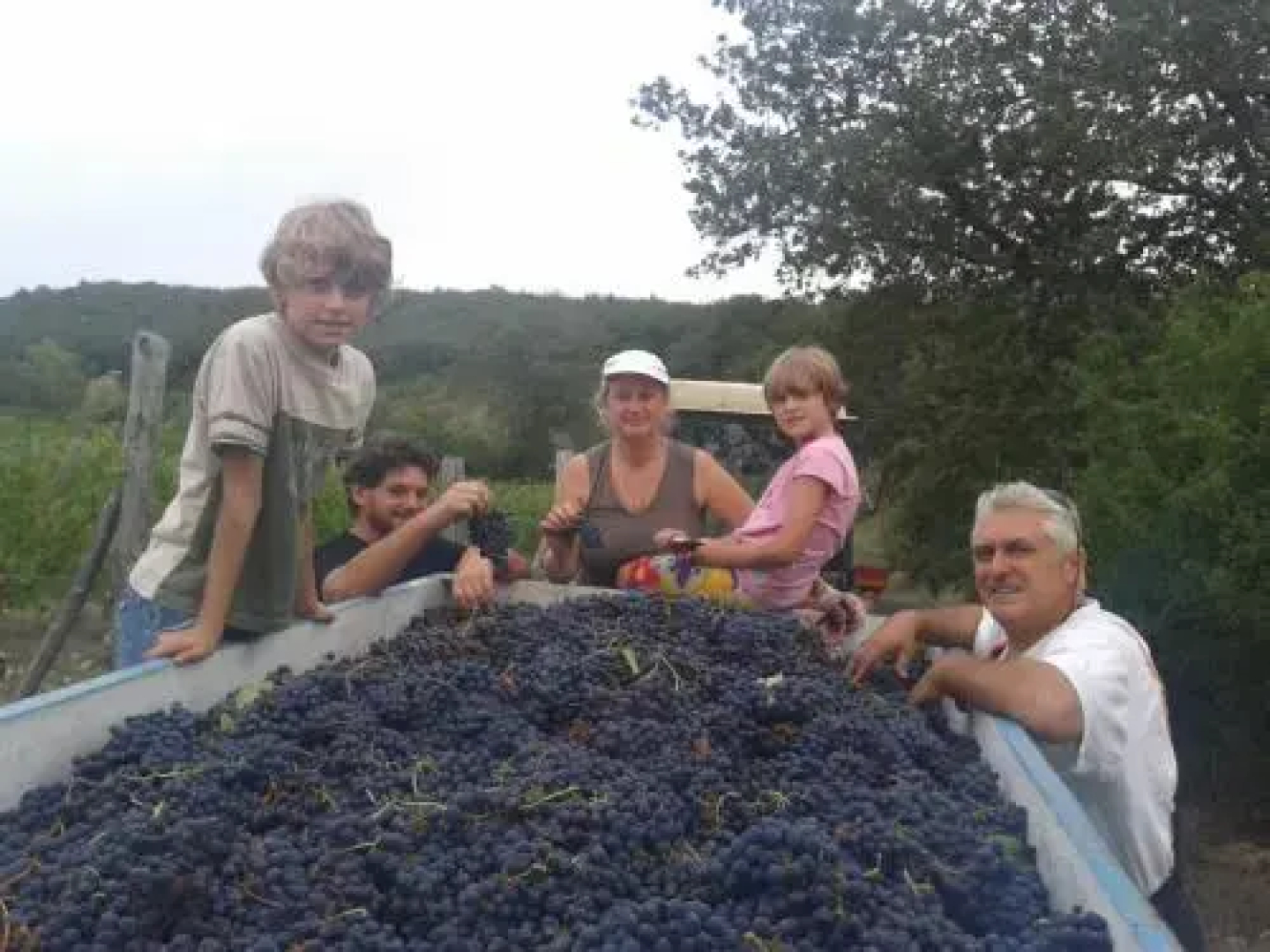 Agriturismo Podere Tegline