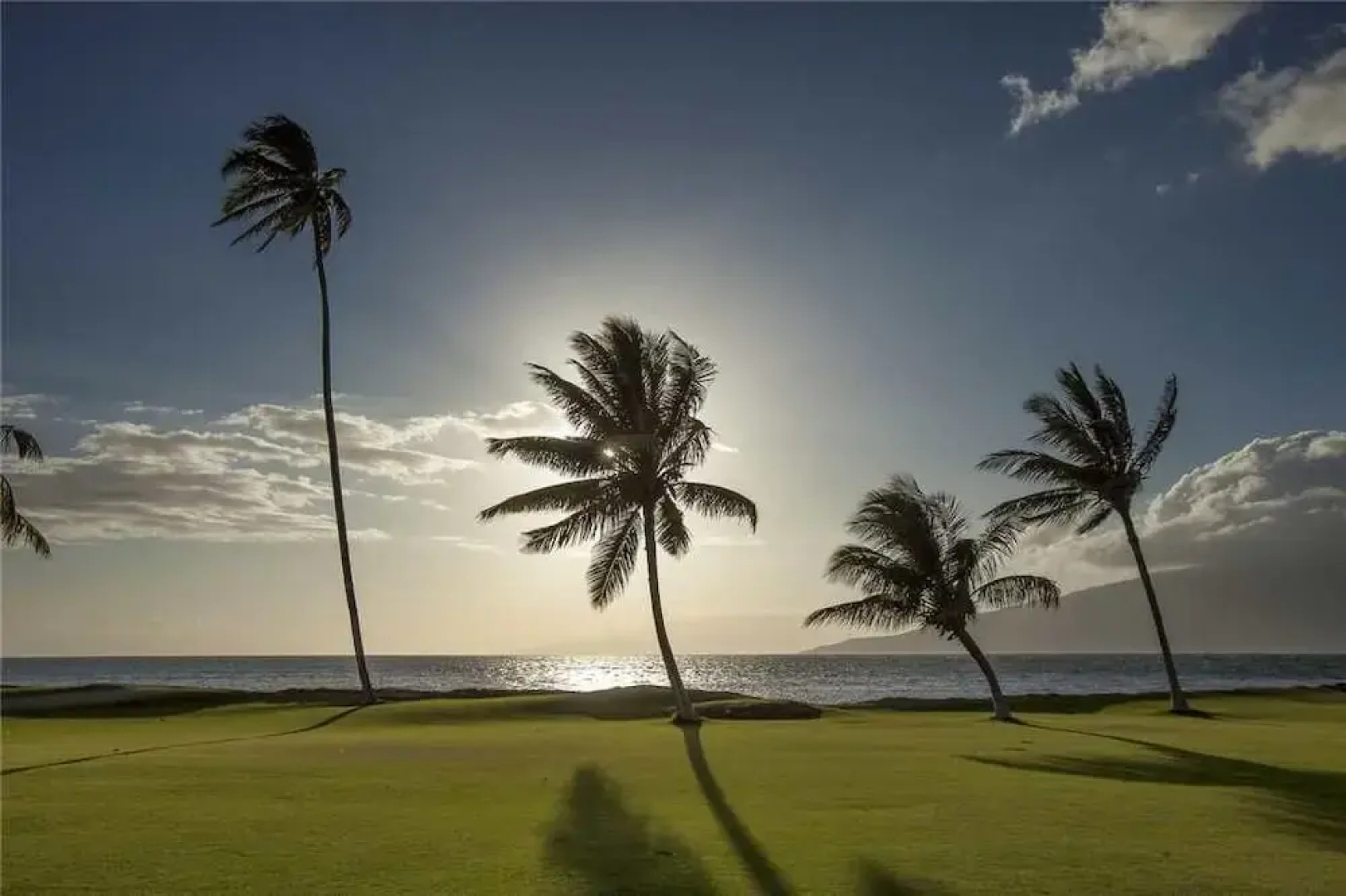 Maui Sunset a-206 - 1 Br Condo