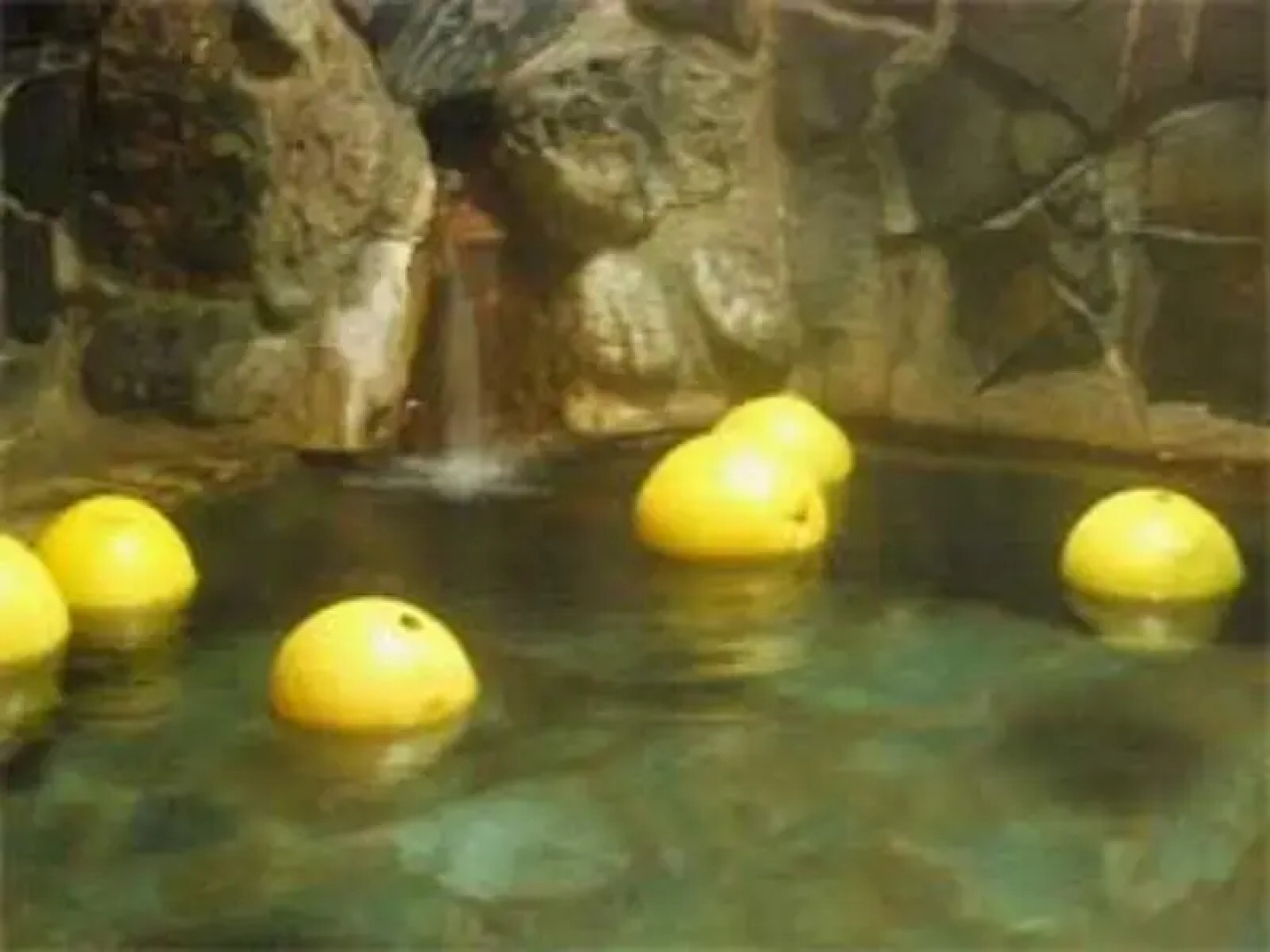 Hinagu Onsen Hiraya Hotel