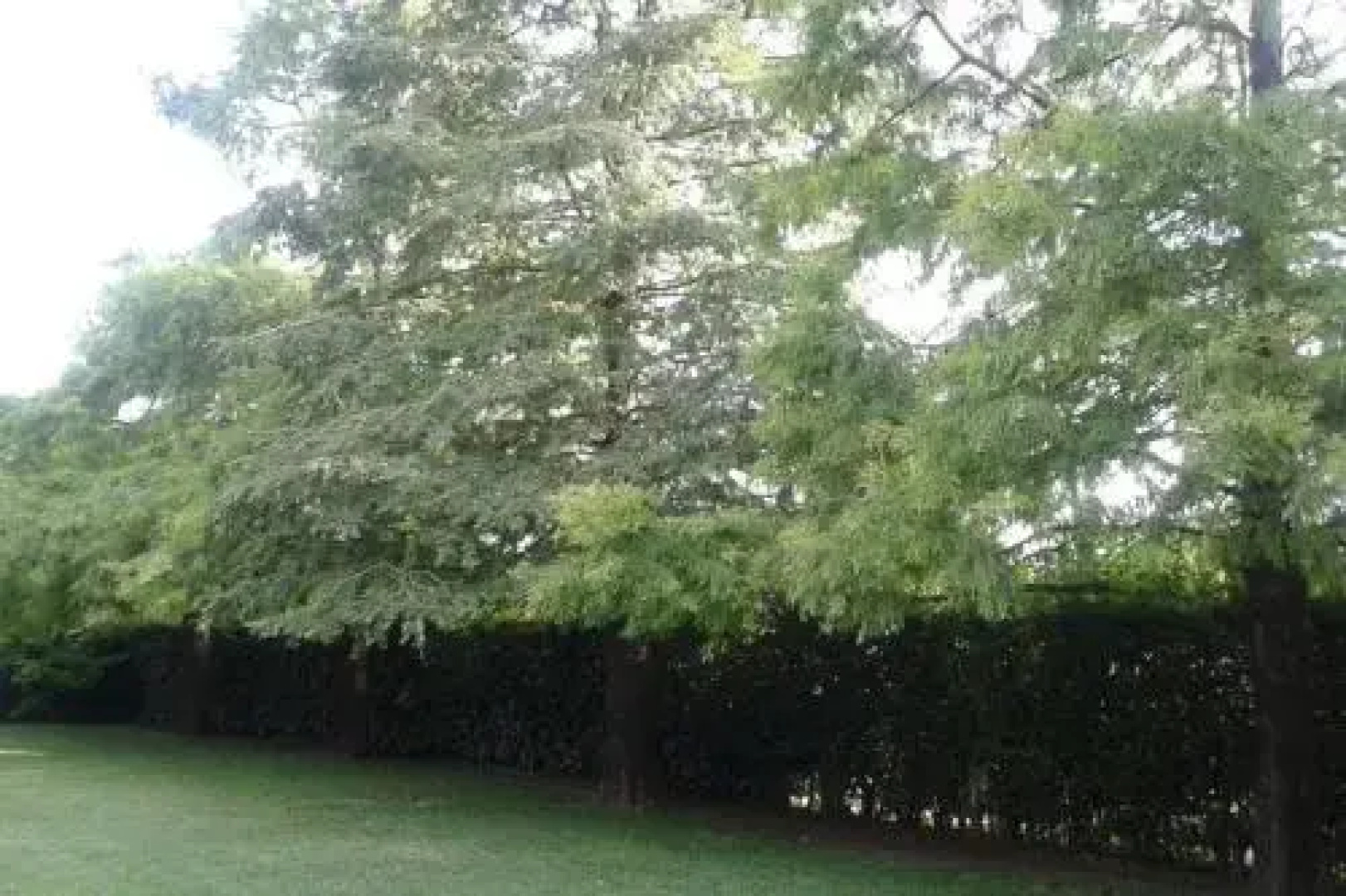 Posada del Leñatero Ezeiza