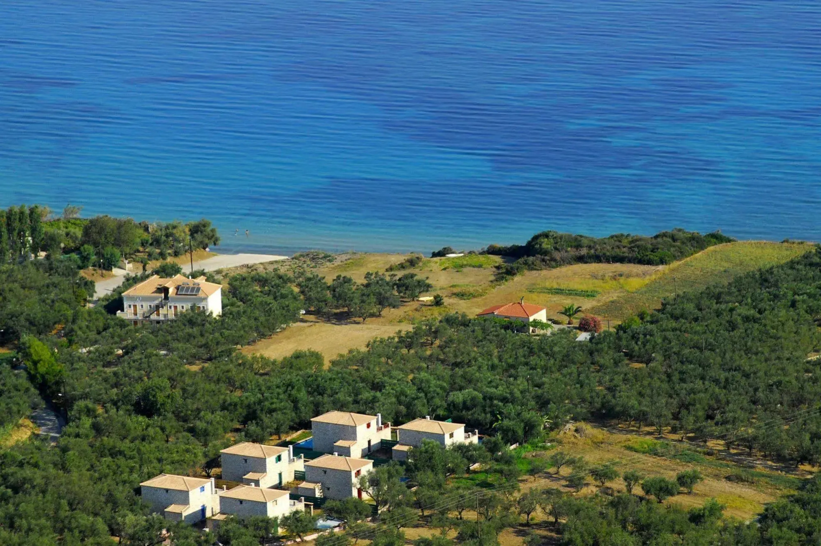 Amelia Residence