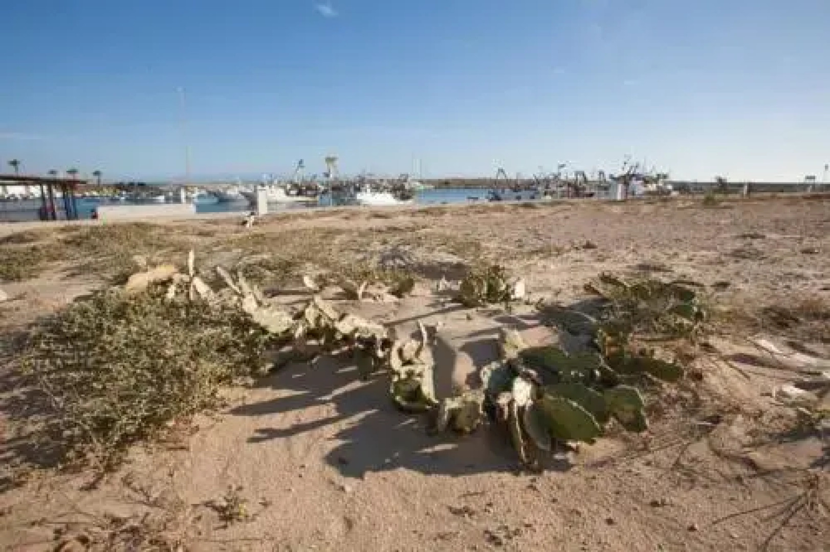Appartamenti Baraka A Scoglitti