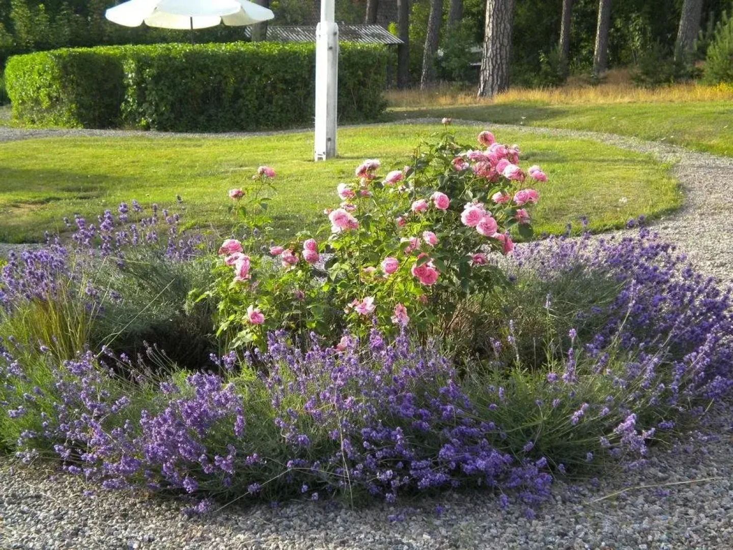 Höganlid Bed & Breakfast