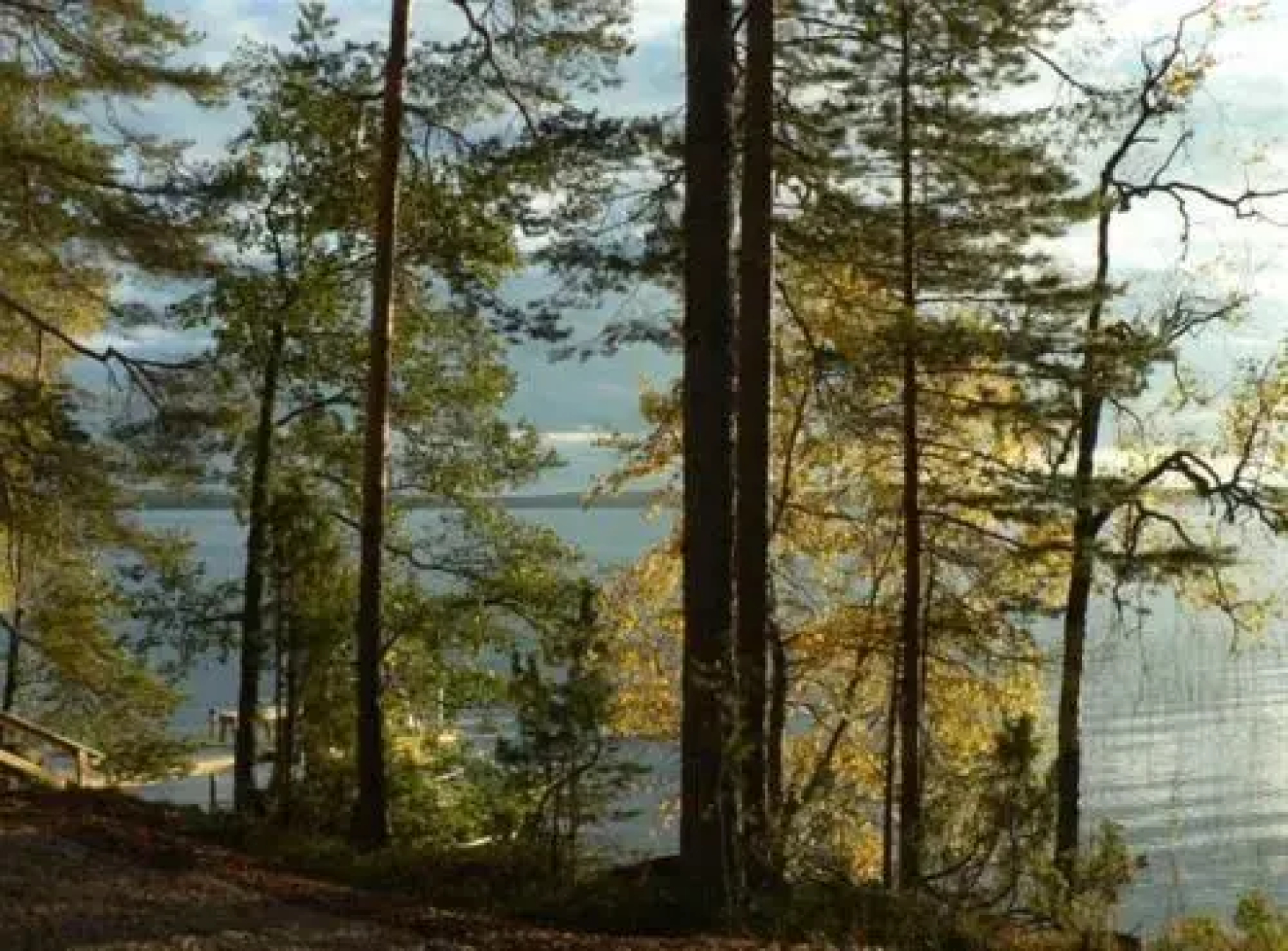 Kapiaisen Lomamökit