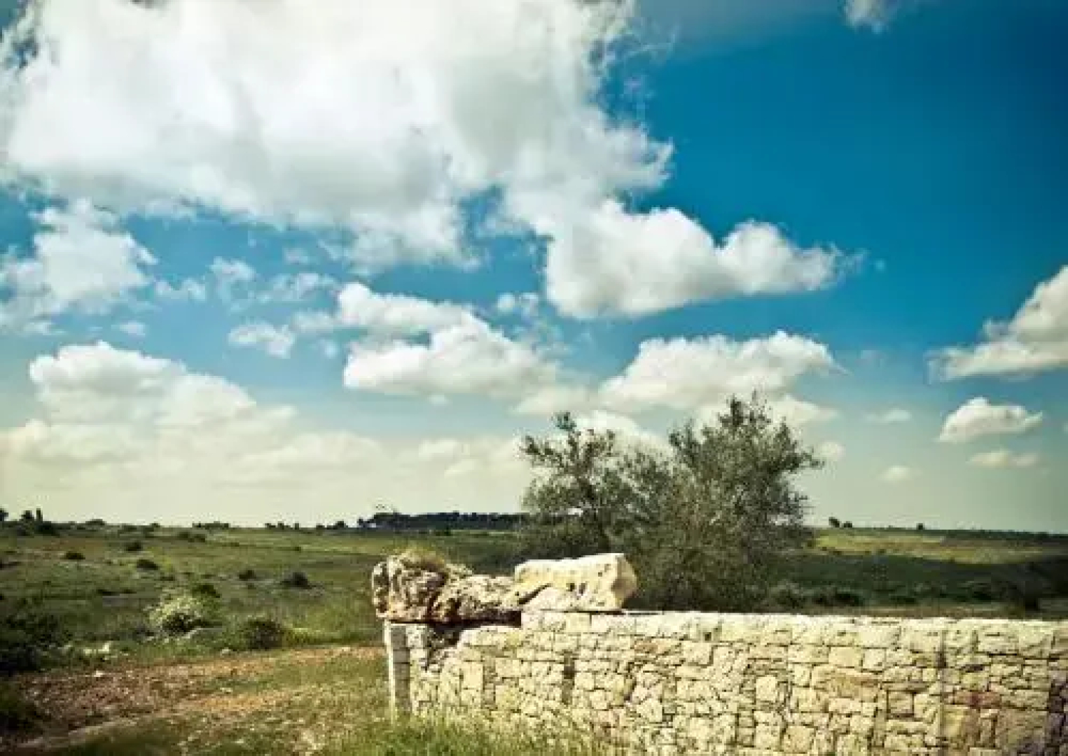 Villa Parco Alta Murgia