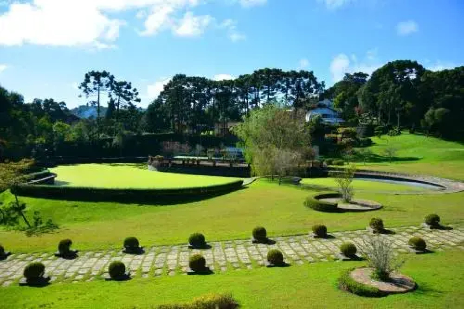 Roots Resort