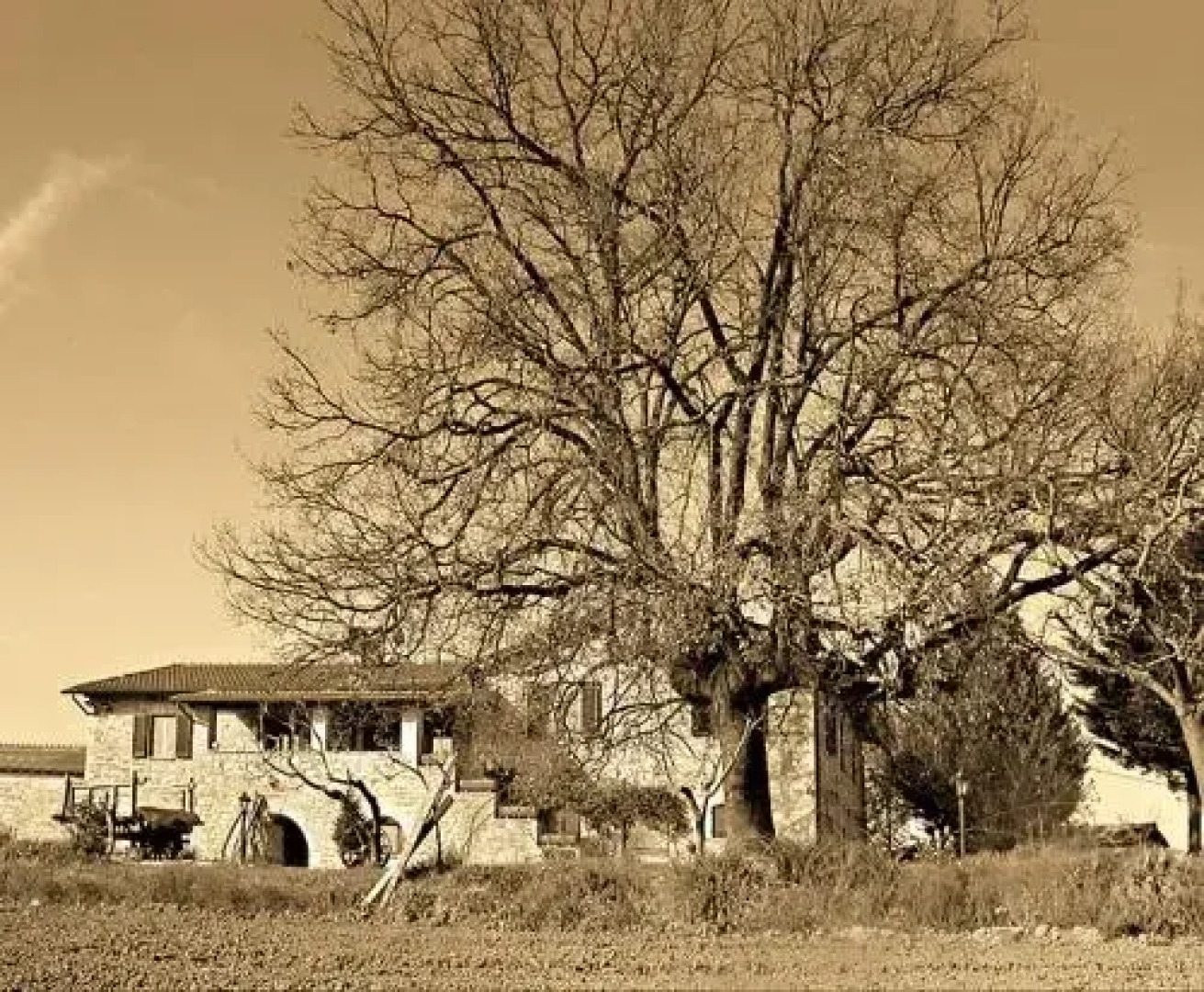 Il Casale della Quercia
