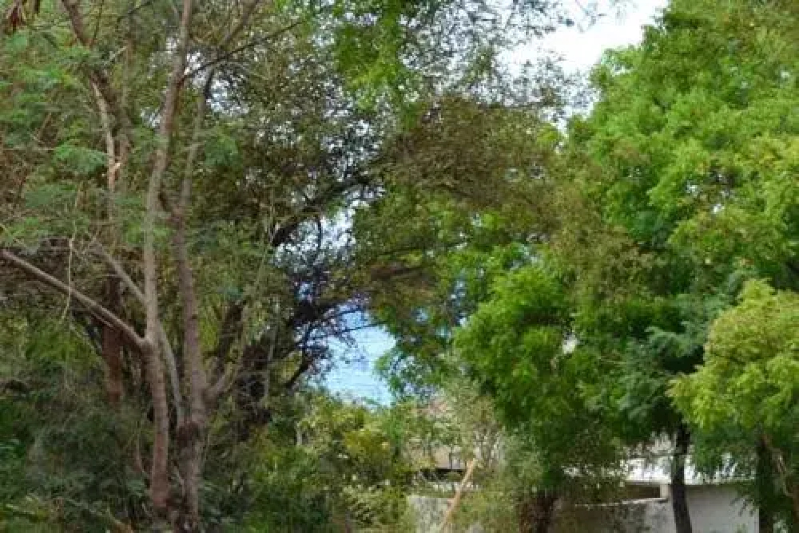 Toya Villa