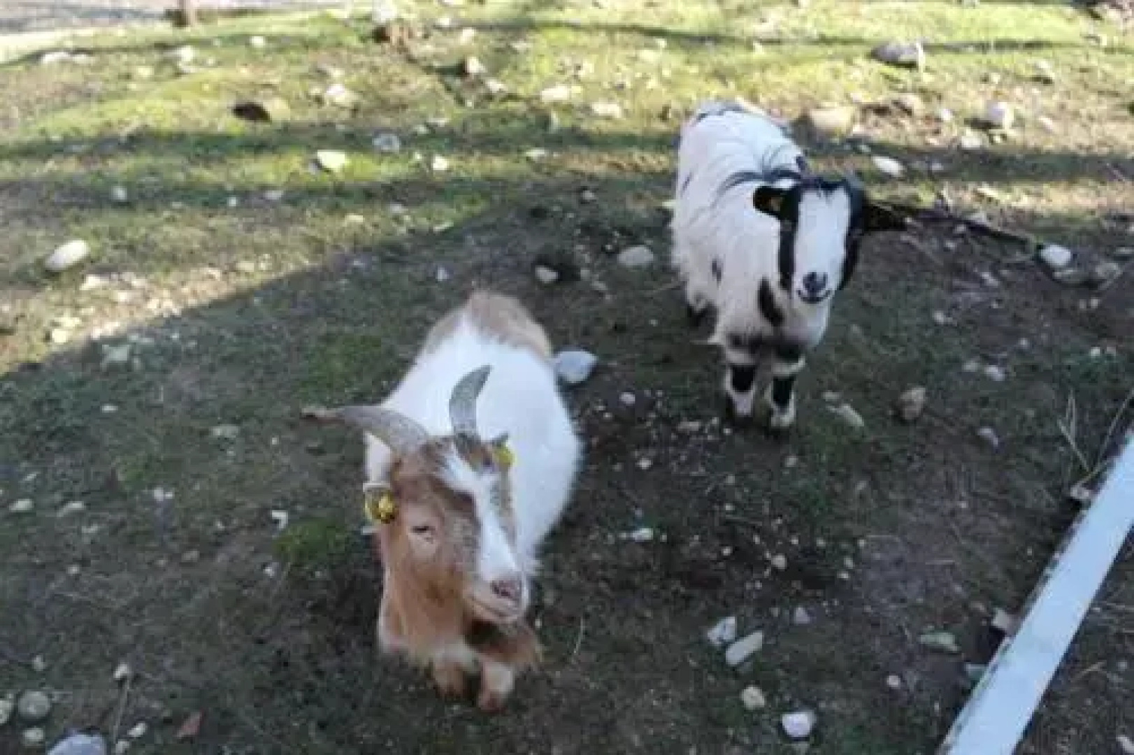 Agriturismo Monte Del Re