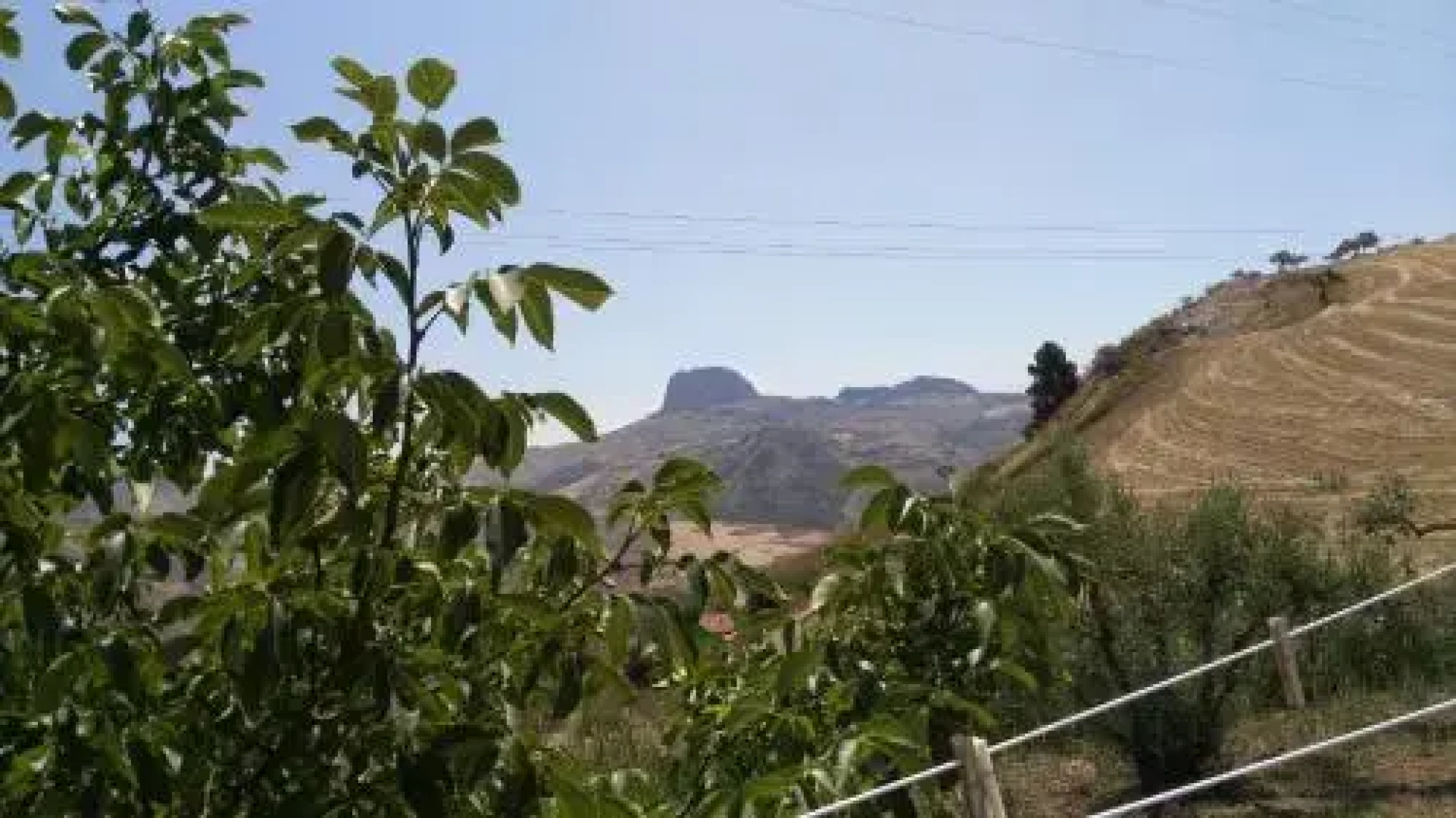 Bed and Breakfast Arcobaleno