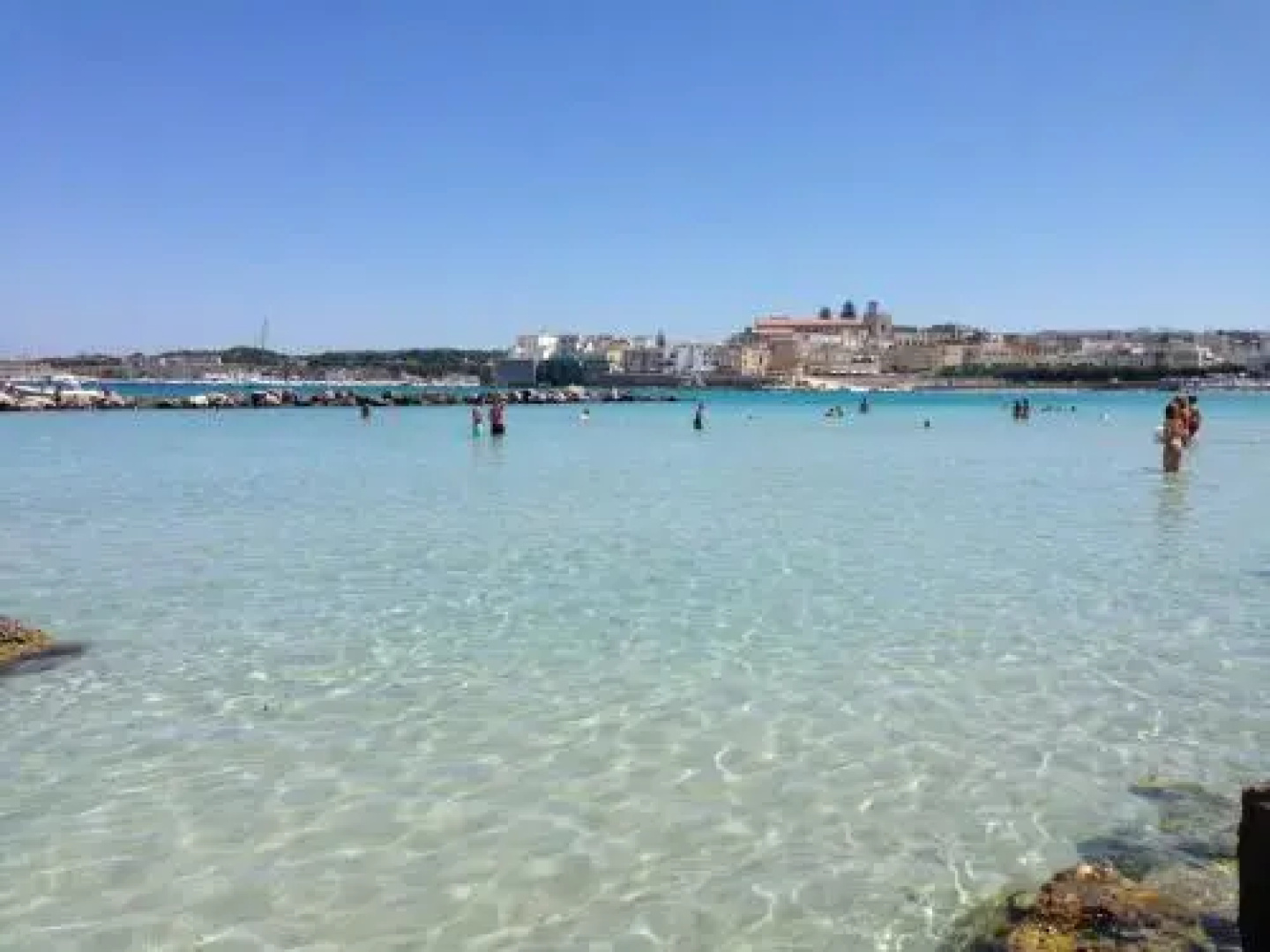 Le Tartarughe