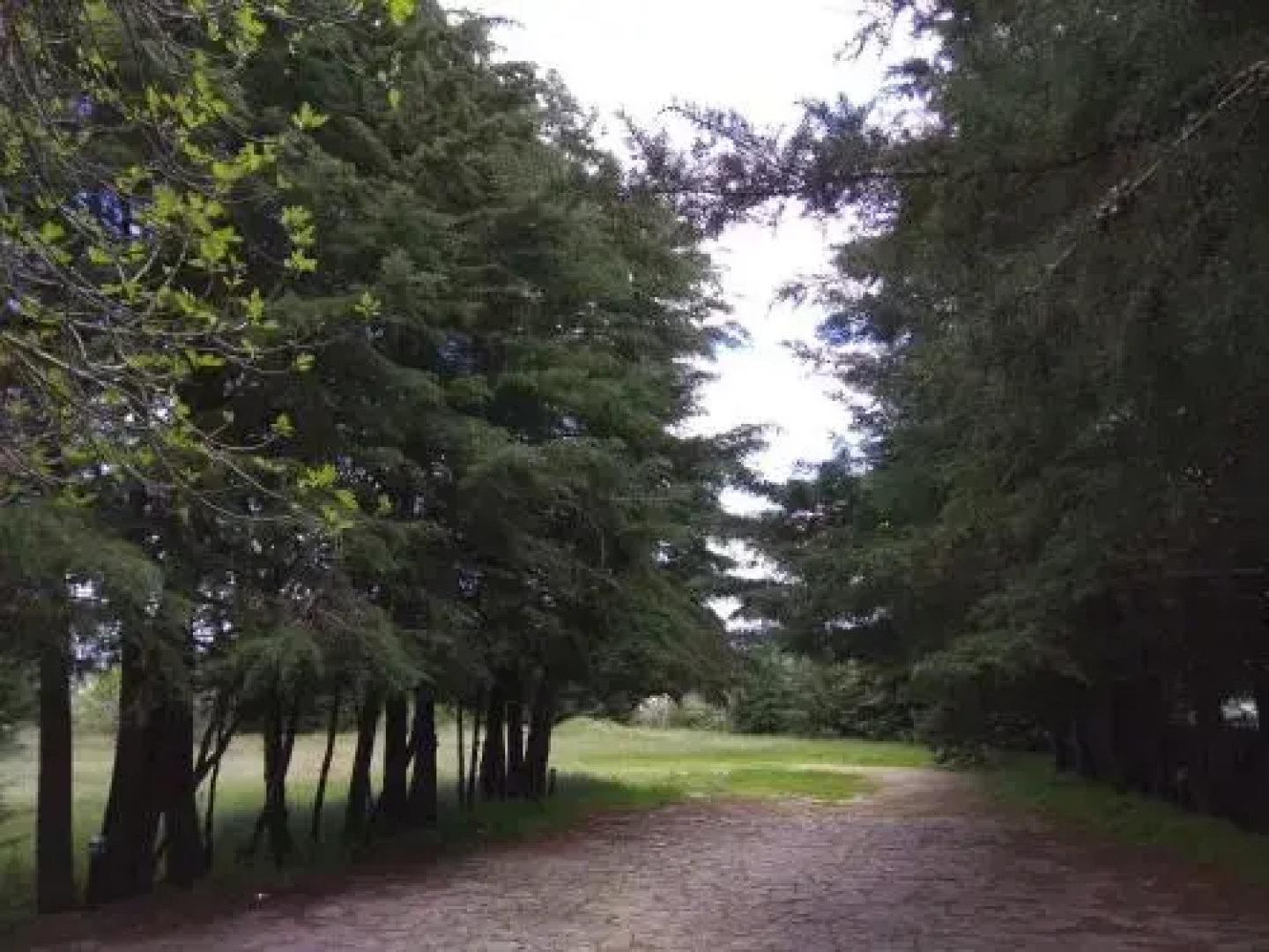 Quinta do Sangrinhal