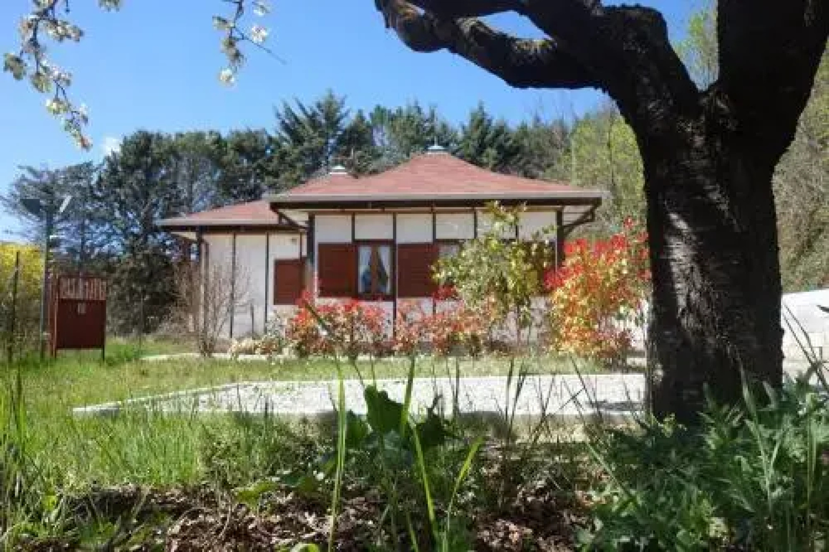 BB The Lodge