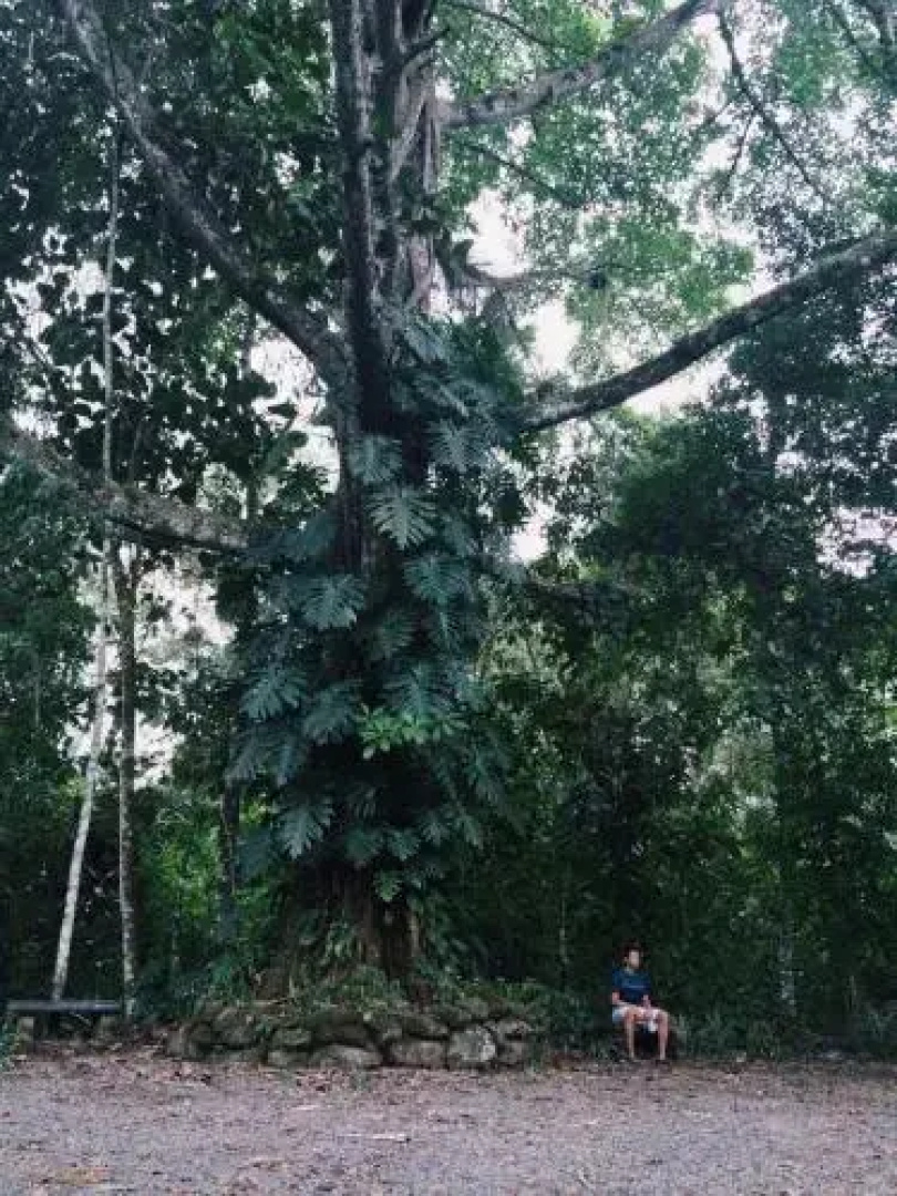 Albergue de Montaña Talari