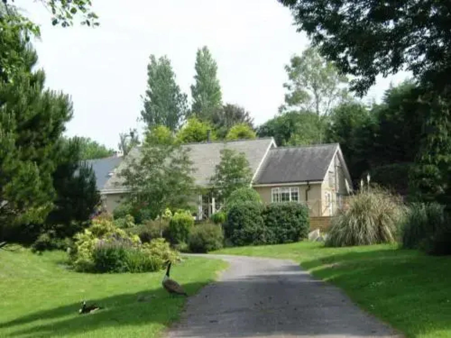 Blackberry Lodge