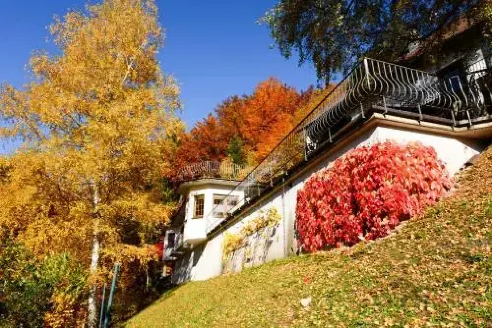 Café Pension Waldfrieden