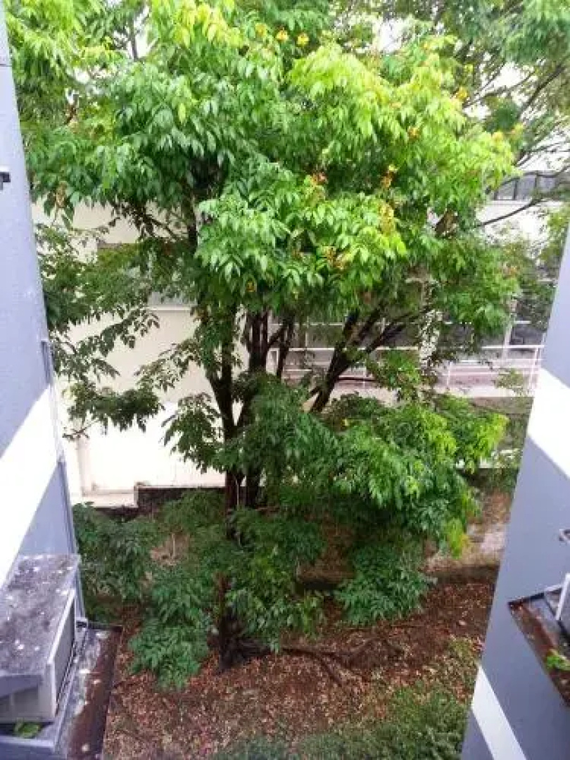 Alter Temporada Manaus - Apto Condomínio