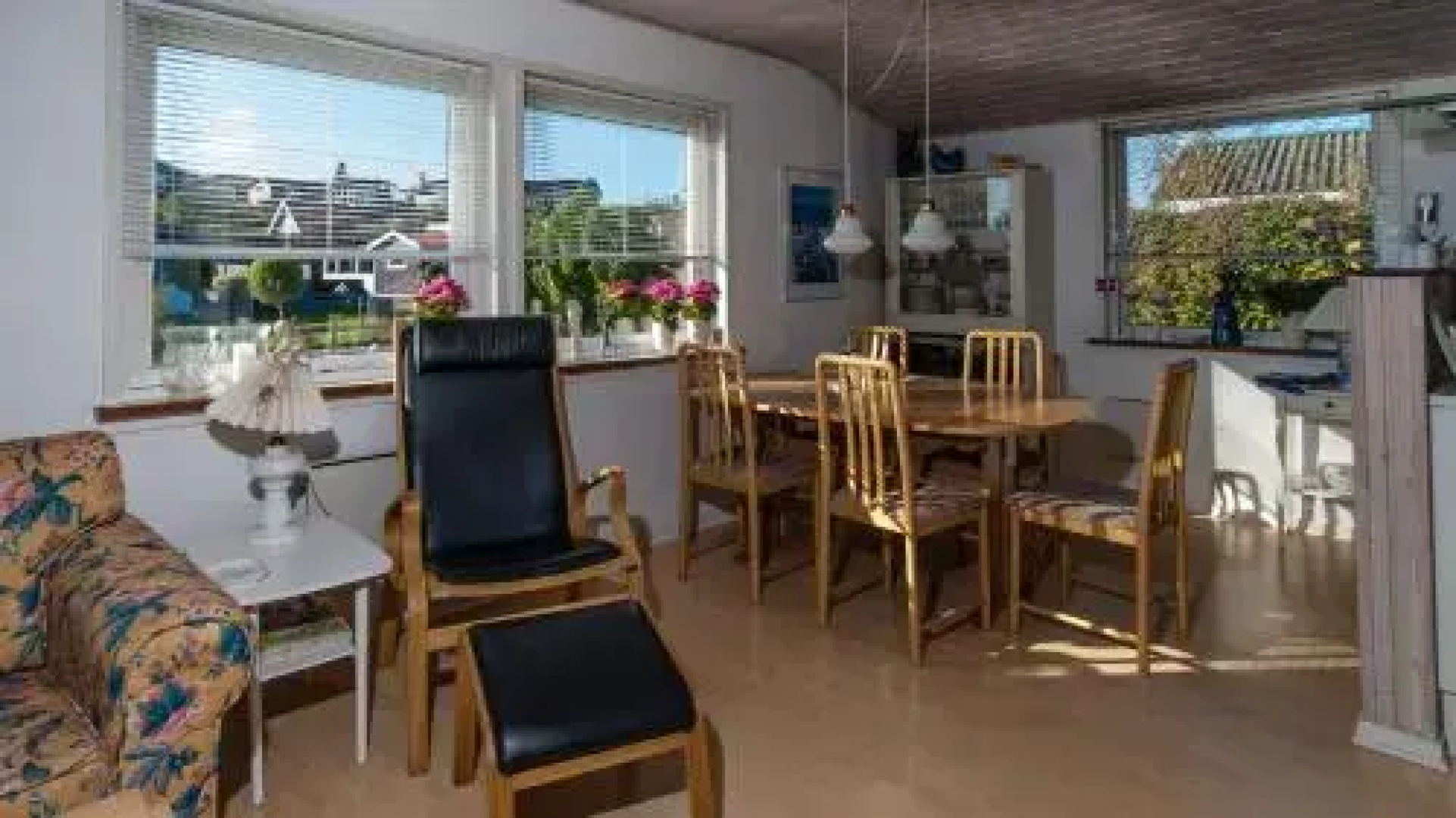 Anemone 14 Holiday House