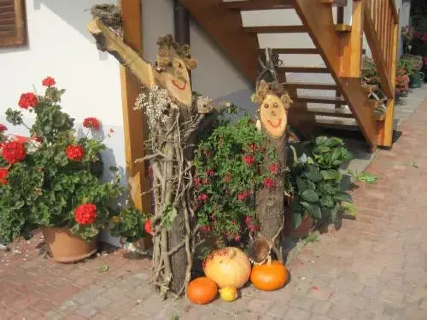 Haflingerhof