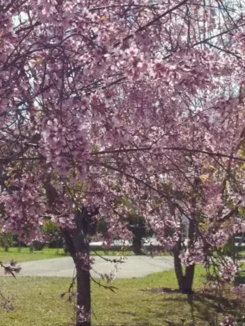 Holiday home Estância Liberdade