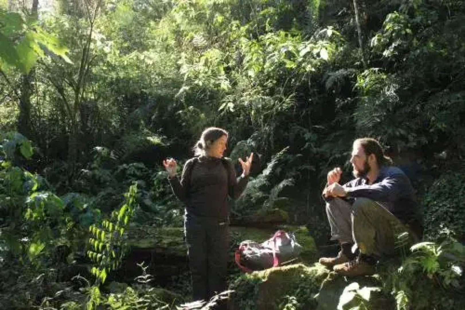 La Perla de la Selva Lodge