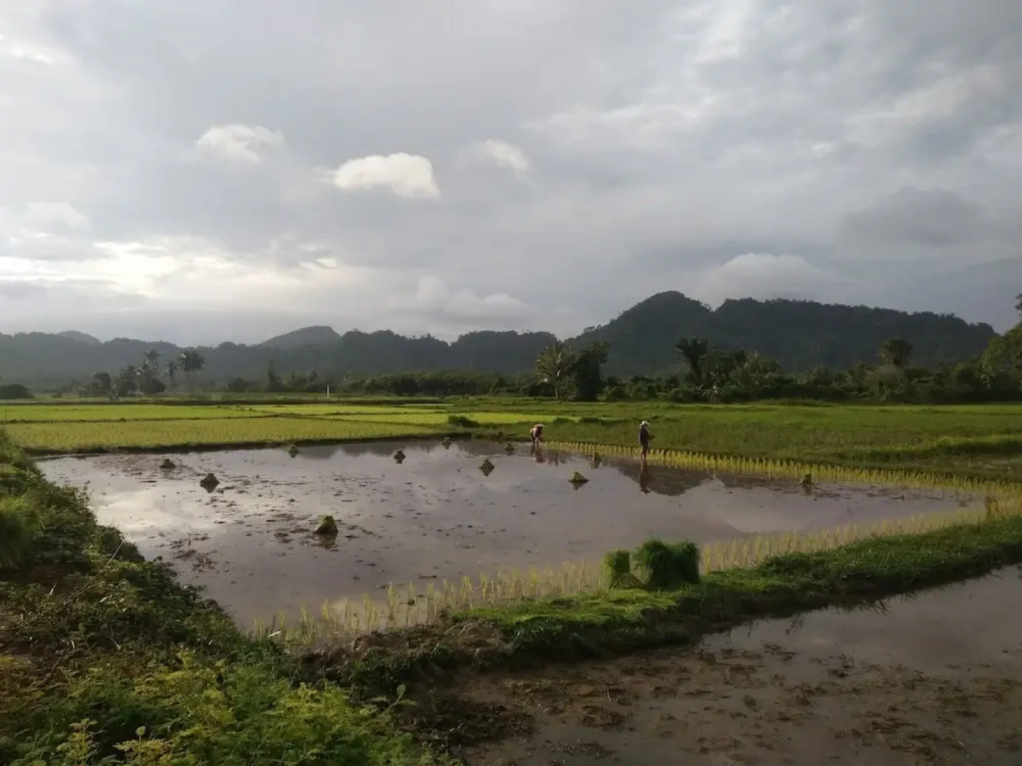 Satun Premium Resort