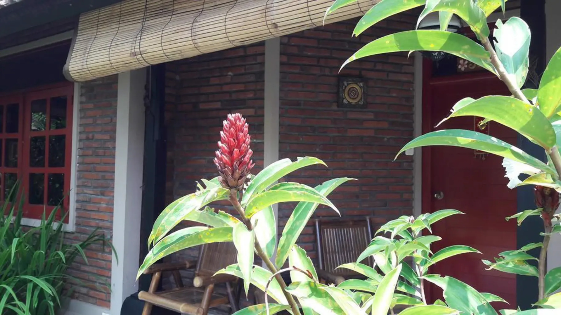Taman Cottages Ubud