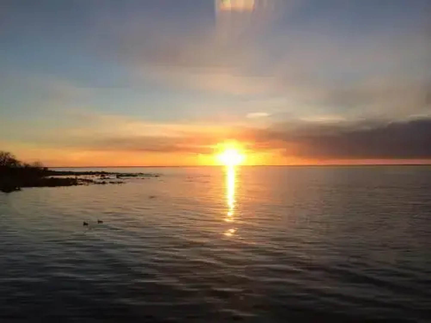 Borgholm Rum Centralt