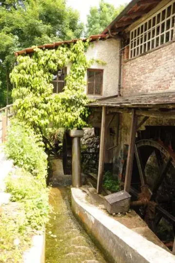 Casa di Creatività Natura Salute