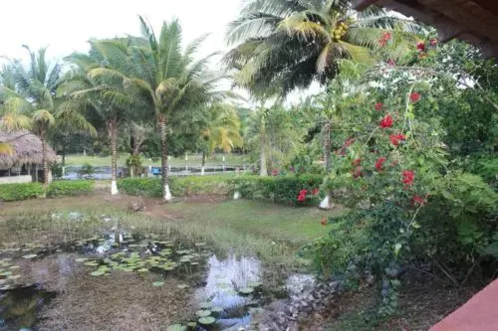 Highway Trails Belize Resort and Country Club