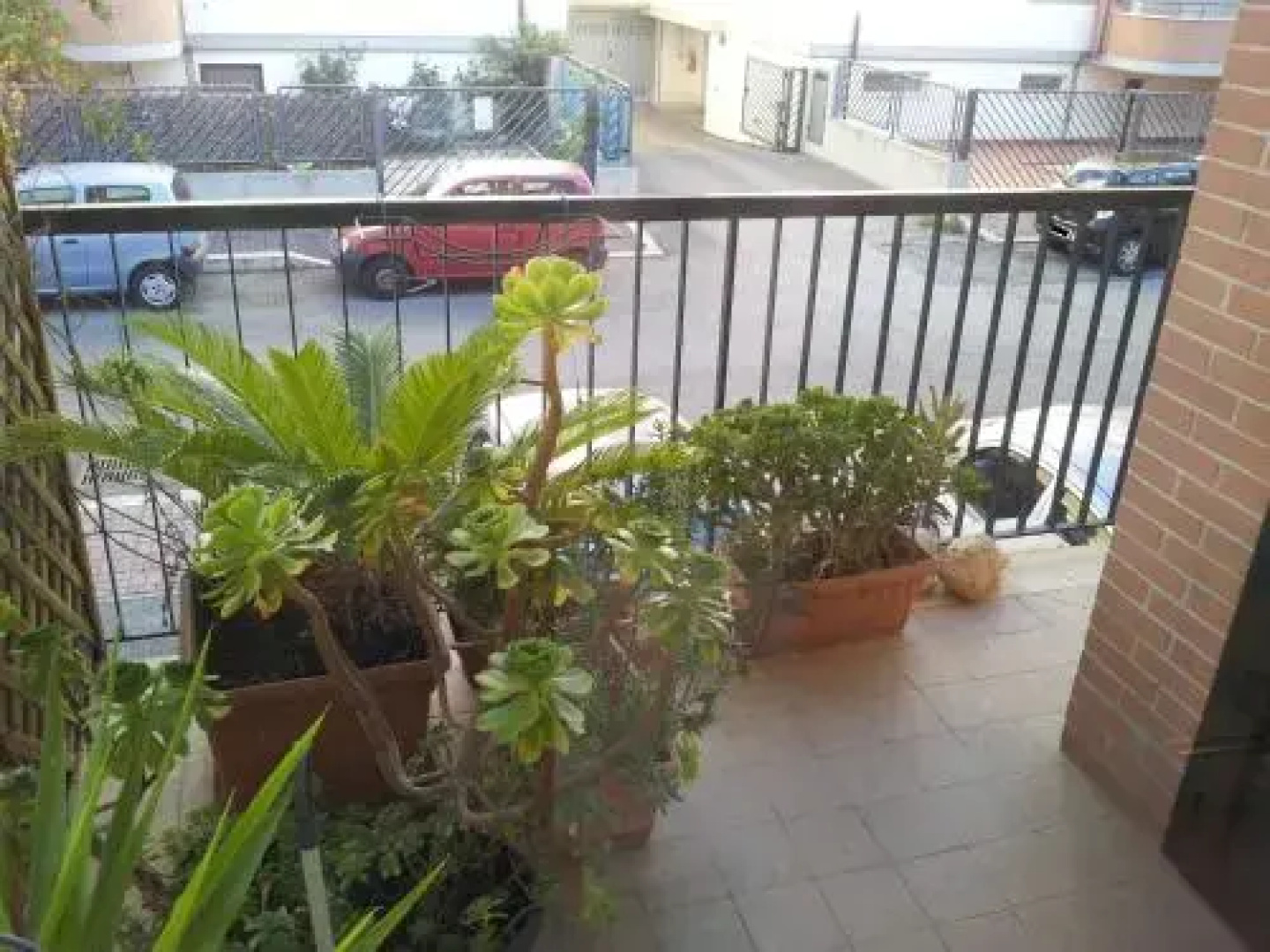 Mini Loft Ninfa
