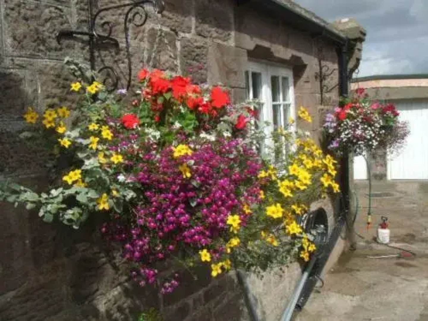 The Old School House