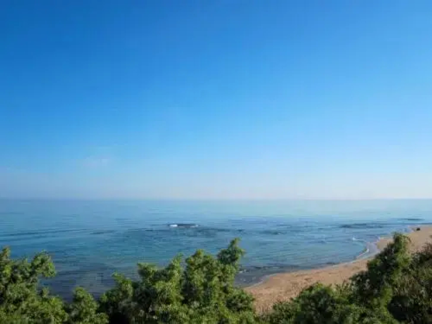 La Ferula Blu